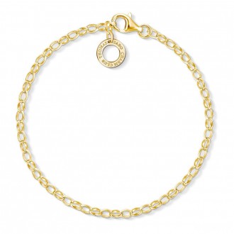 Charm bracelet