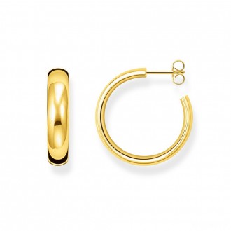 hoop earrings classic small